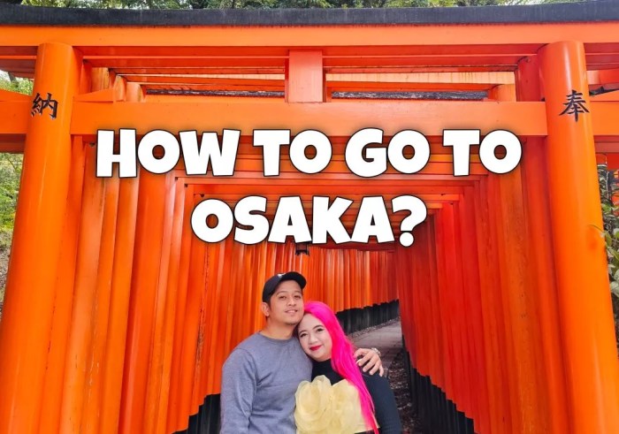 How to go to Osaka, Japan? - Happy and Busy Travels Guide to osaka japan