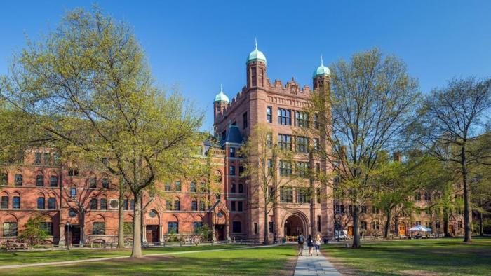 What is the Difference Between College and University? - College Rank College football fans spend night goodyear blimp