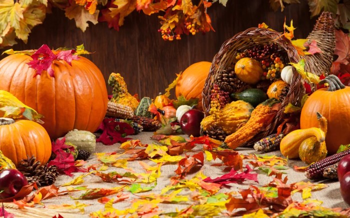 Thanksgiving holiday travel rules
