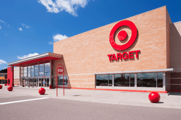 Target shade and shore straw hat sale
