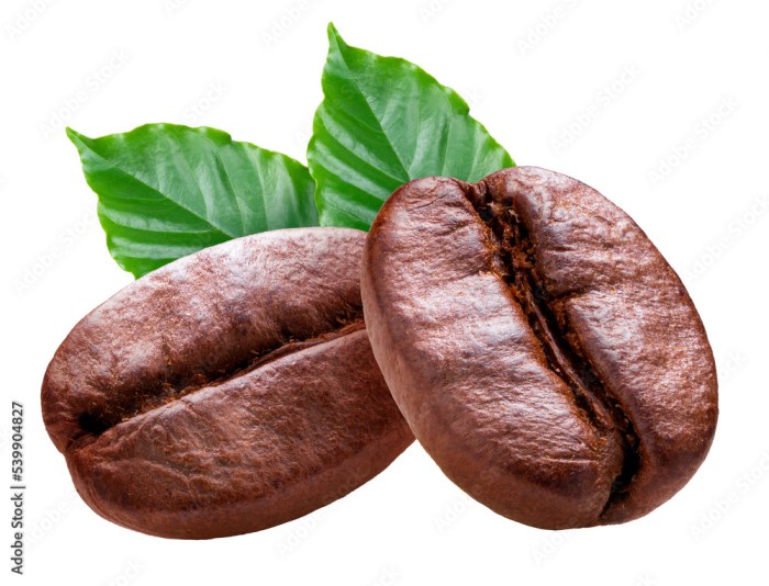 A Coffee Lovers Guide to Chiang Mai