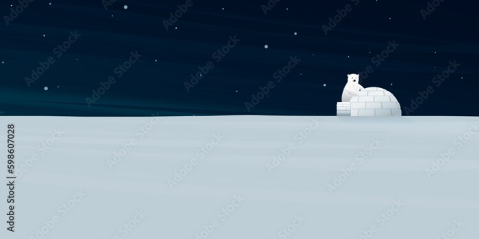 Spend night igloo north pole
