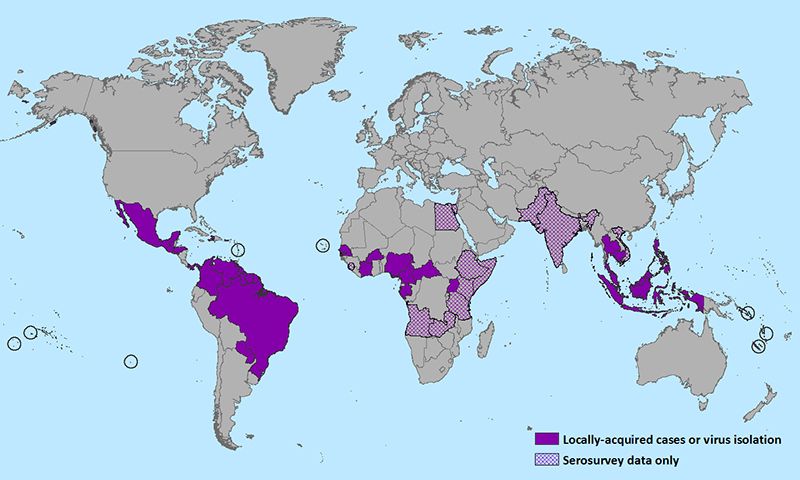 Zika virus detected in usa hawaii first case in six years