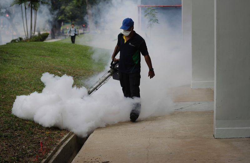 Hawaiis First Zika Case in Six Years
