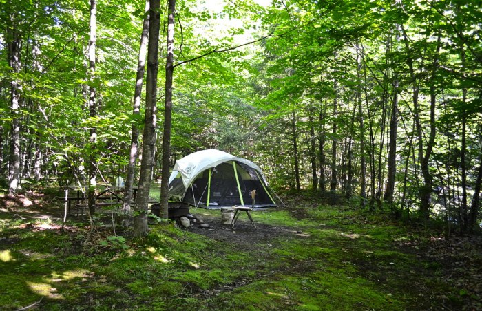 Camping near major us cities