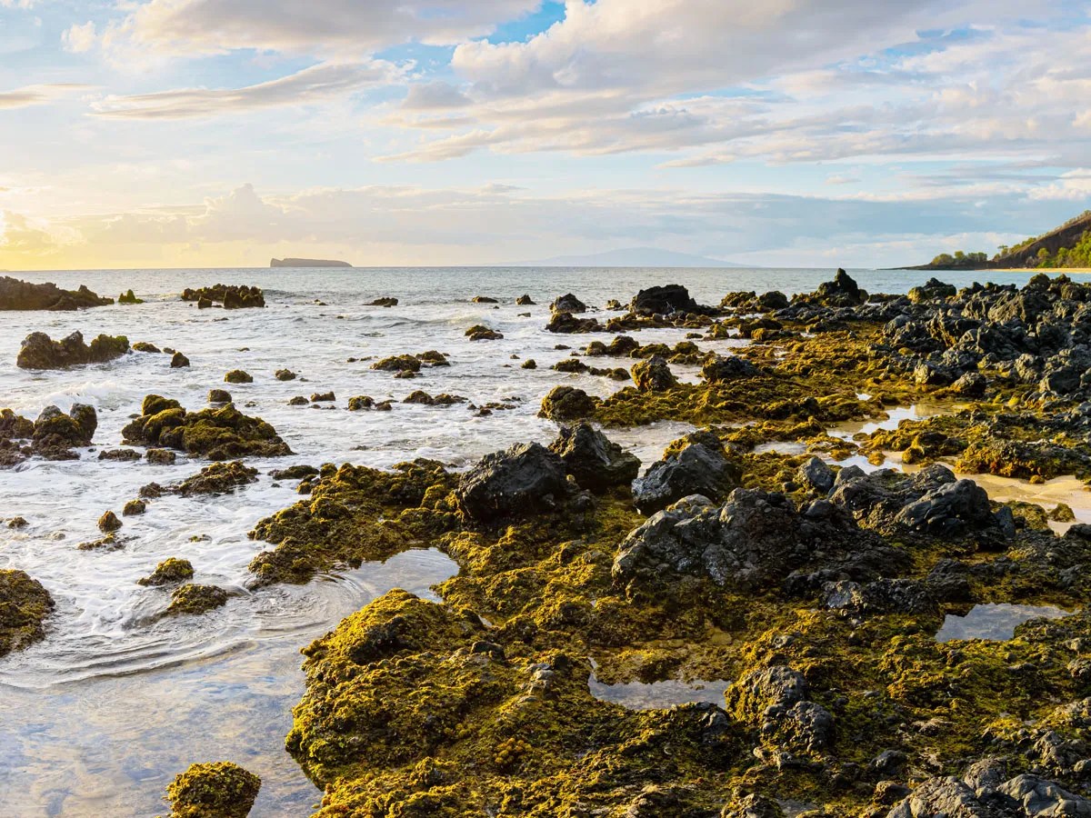 Frequently Asked Questions About Hawaii Your Ultimate Guide
