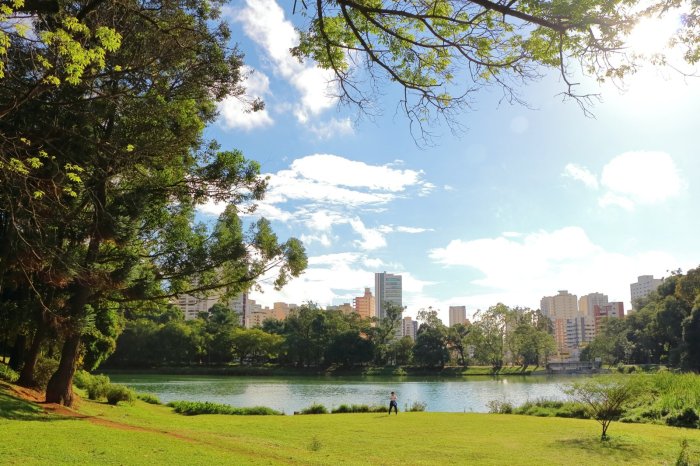 São Paulo Where to Stay, What to Do
