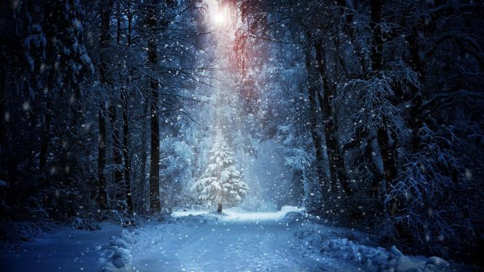 Trip ideas winter vacations best places travel