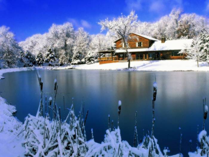 Winter in Floridas West Coast A Perfect Escape