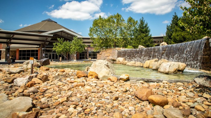 Stellara resort sevierville tennessee now open