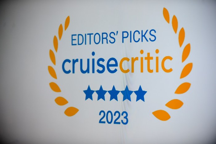 Cruise ship packing hack magnetic hooks amazon