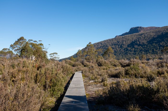 Overland track tasmania lessons