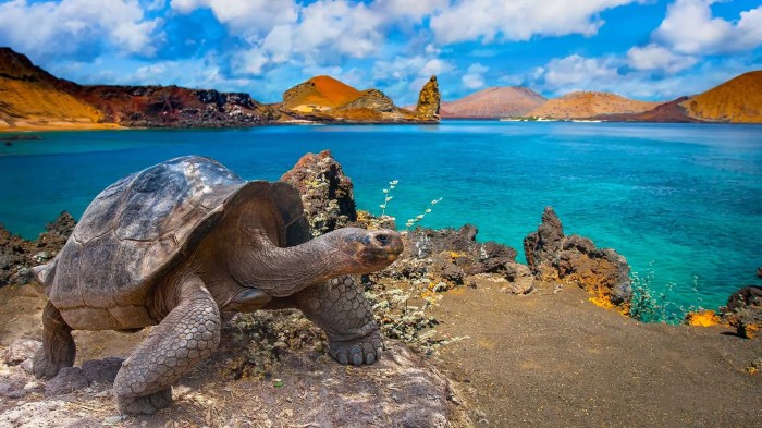 Ecuador galapagos vaccinated tourists