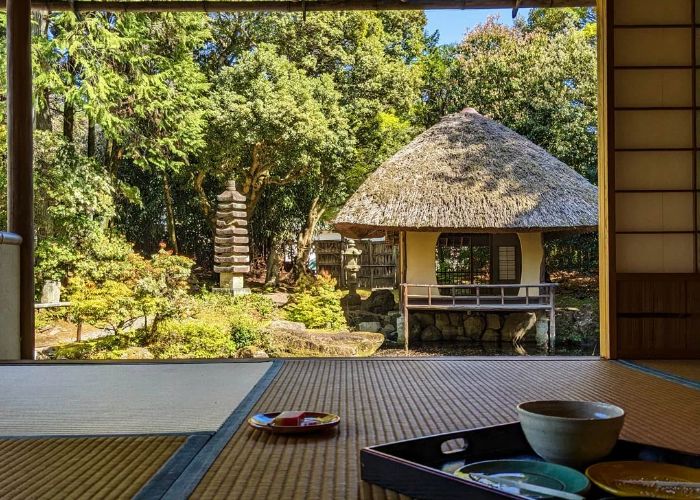 Guide to japanese tea ceremonies kyoto
