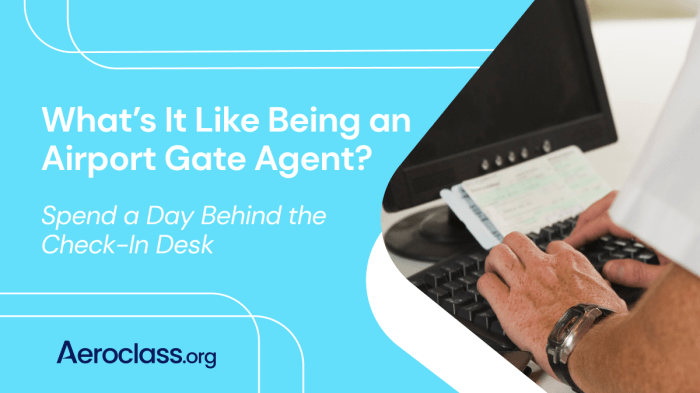 Airline gate agent travel essentials expert picks