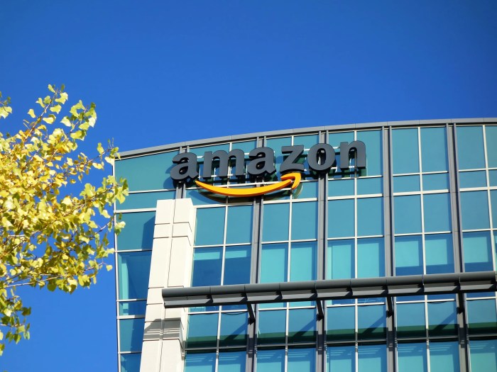 Amazon personal safety devices paranoid traveler picks