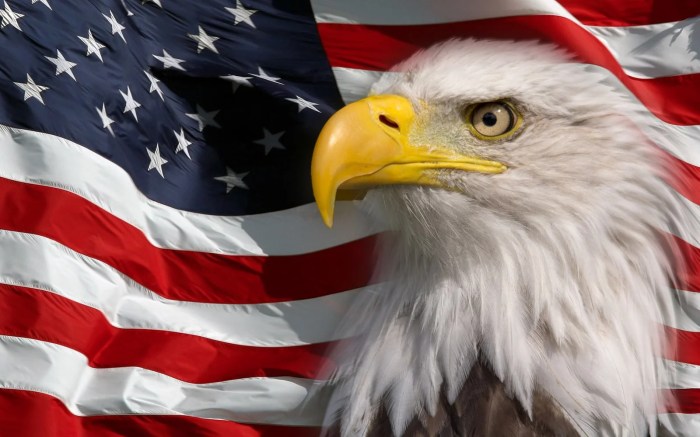 American airlines summer schedule