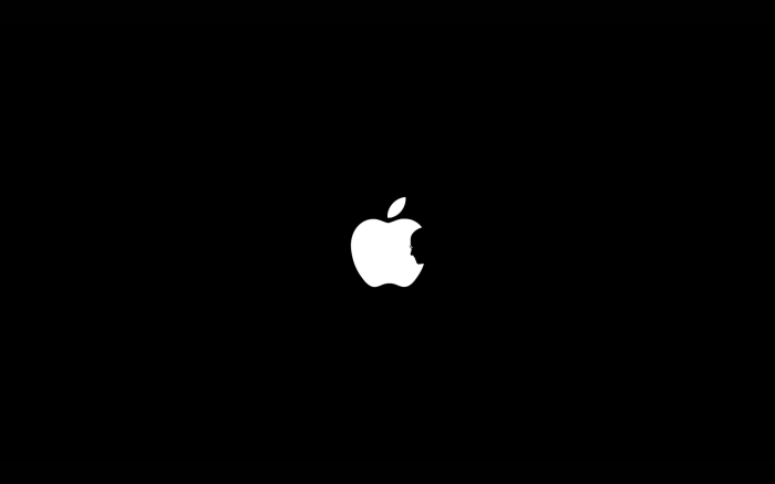 Apple airtag battery replacement amazon