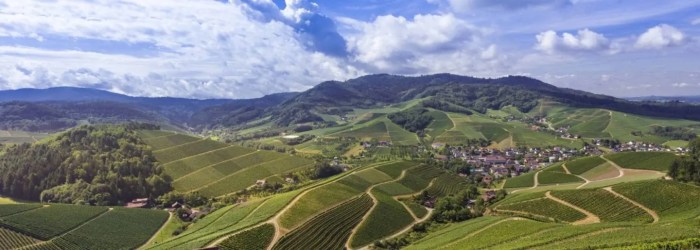 German wine regions baden wuerttemberg pfalz