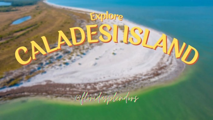 Caladesi island state park best beach in florida