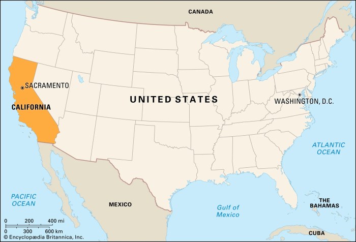 California Wildfires Mountain Lion Population Impacts