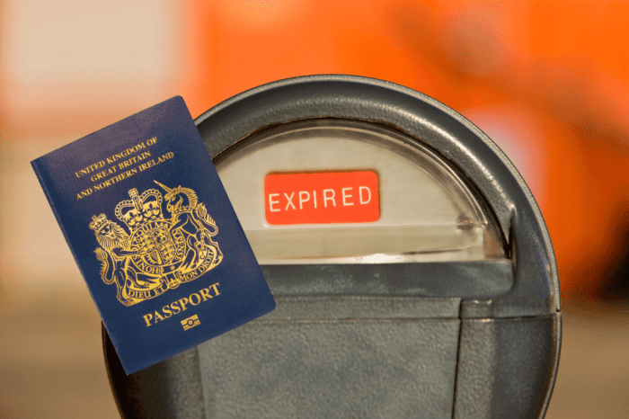 When to renew your uk passport as wait times increase