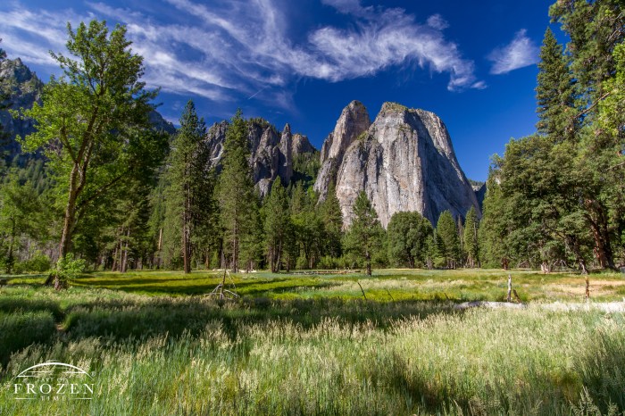 Yosemite national park lottery north pines campground