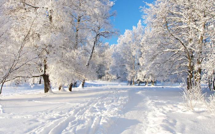 Trip ideas winter vacations best places travel