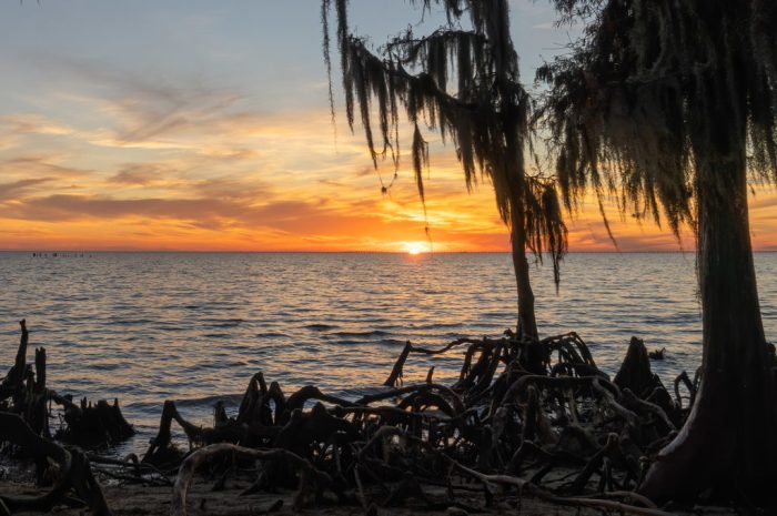 Guide to louisiana northshore