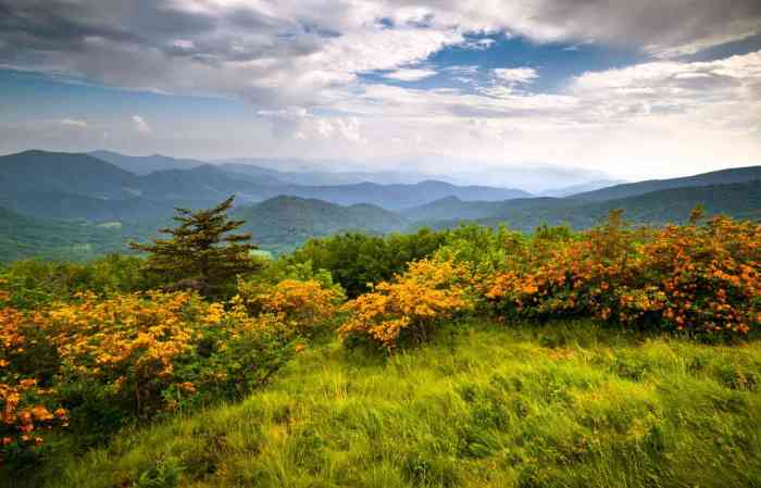 Guide to highlands north carolina