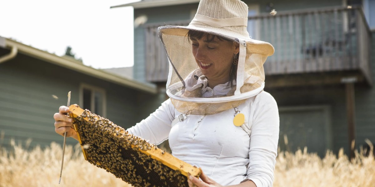 How beekepers around the world are keeping colonies alive