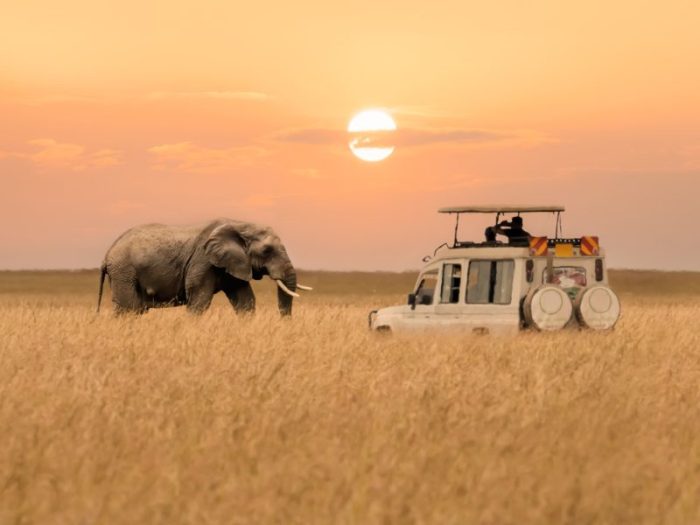 Electric Safari Car Maasai A Vision