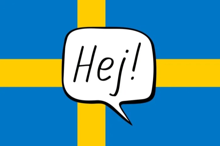 Swedish Village for Sale Your Dream Home Awaits