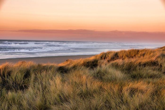 Best humboldt county california adventures