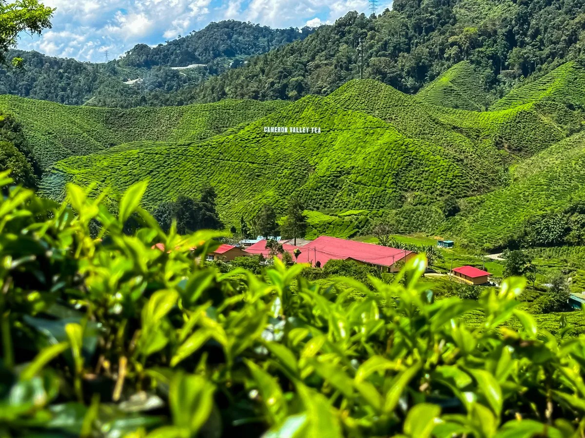 Kuala Lumpur Four Day Itinerary Your Epic Adventure Awaits