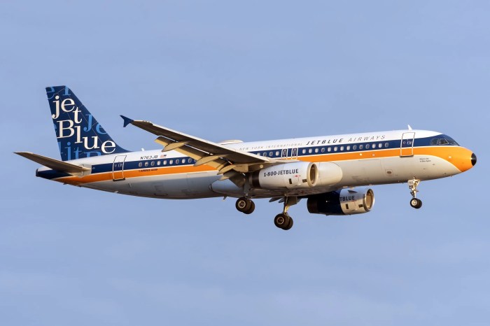 JetBlue to Become Carbon Neutral A Green Future