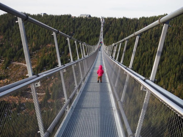 Sportiest countries in world