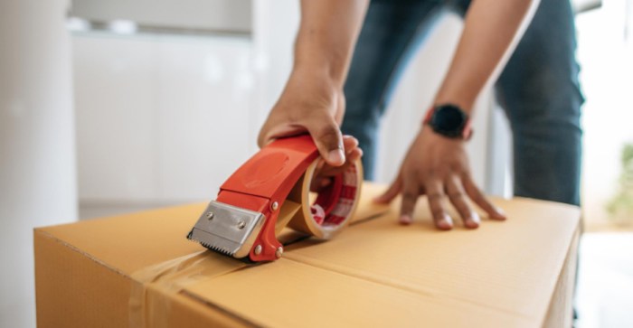 Packing Cubes Best Travel Hacks Unveiled