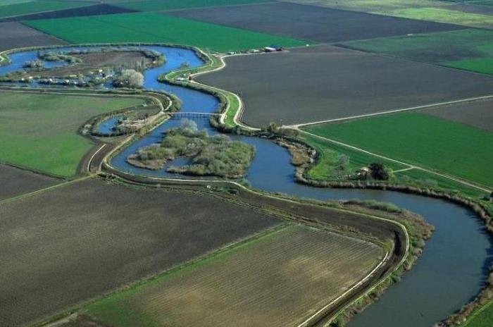 Delta carbon neutral plan