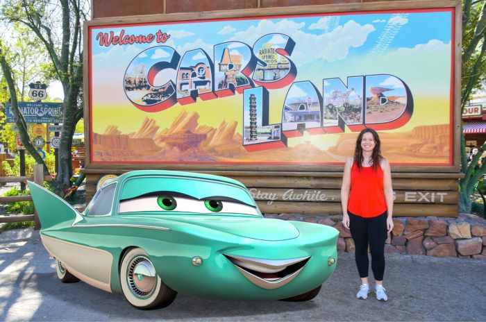 Survivors Guide to Disneyland