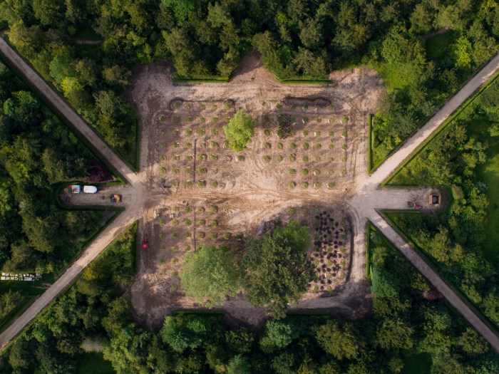 Marie antoinette garden restored