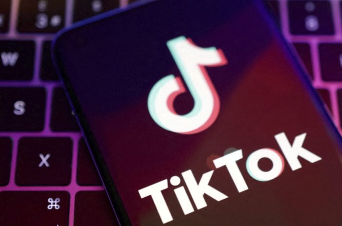Tiktok luggage travel trip airline stickers
