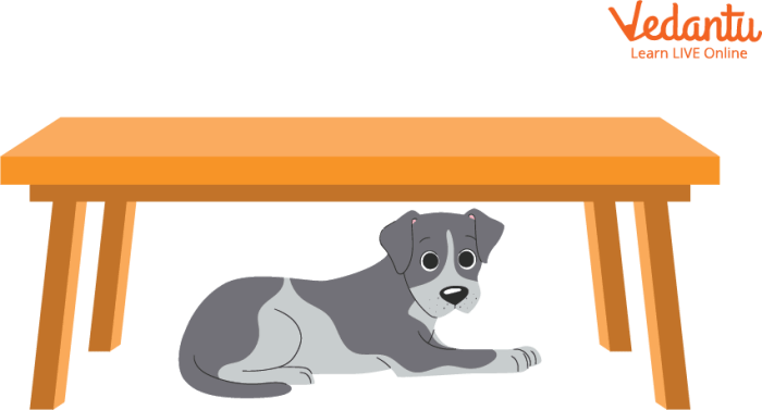 Under the radar safari experiences expert advice