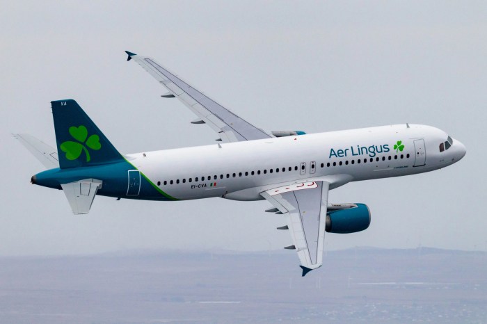 Aer lingus roundtrip deals to dublin under usd500
