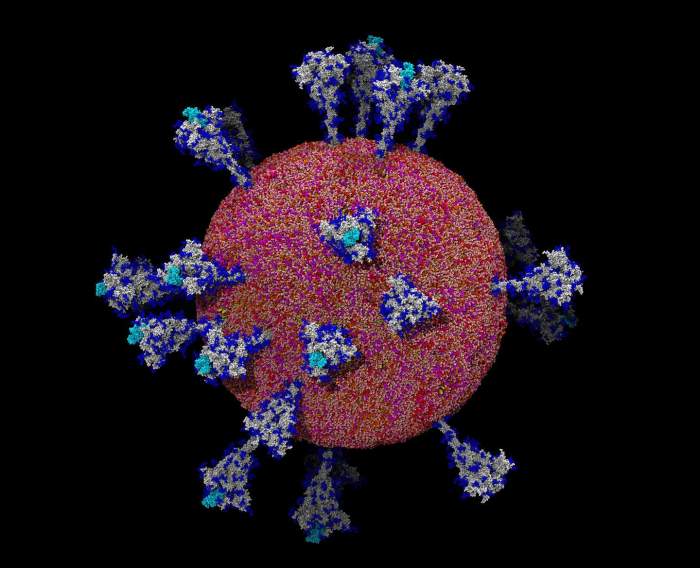 Coronavirus public health emergency