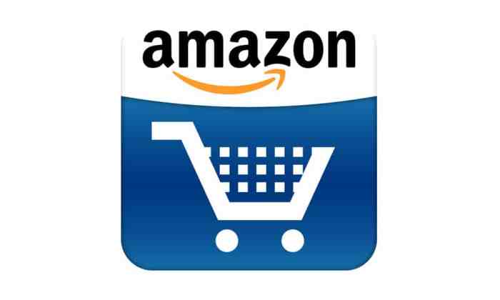 Amazon personal safety devices paranoid traveler picks