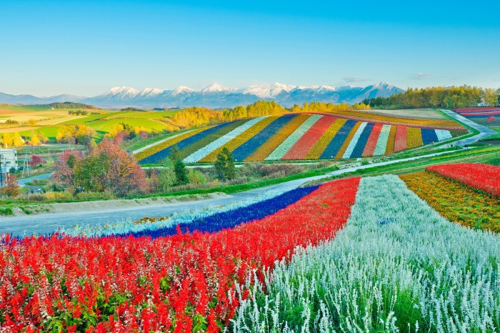 Most beautiful places in japan