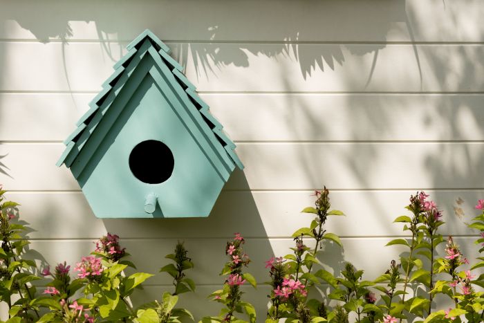 Birdboxes for humans norway