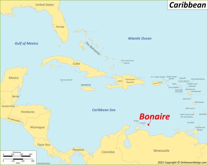 Bonaire caribbean coral planting