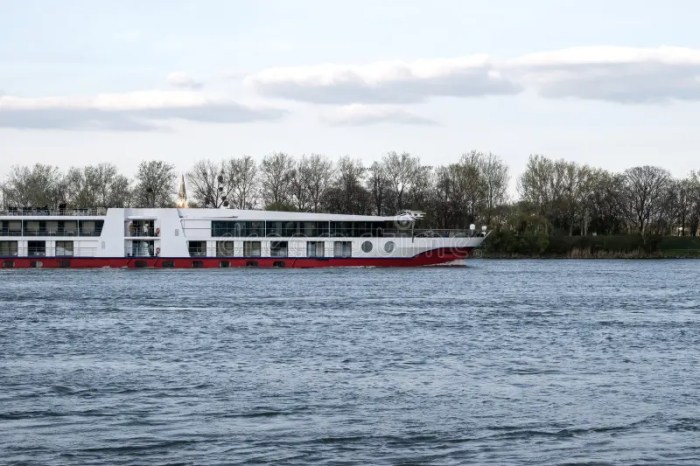 Best danube river cruises